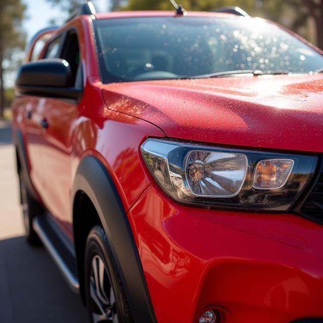 Ute after Express Shine